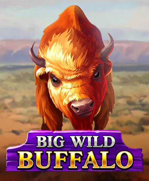 Játsszon Big Wild Buffalo-val a Co Soya Casino-ban